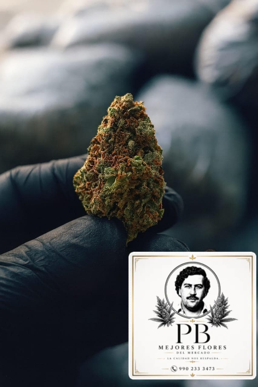 Amnesia Kush